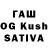Псилоцибиновые грибы Psilocybine cubensis Kitano_v1