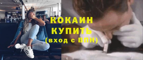 PSILOCYBIN Балабаново