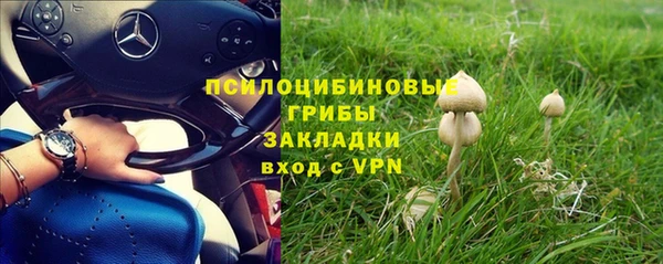 синтетический гашиш Белокуриха