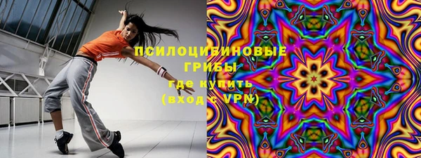 PSILOCYBIN Балабаново