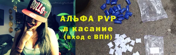 стаф Беломорск