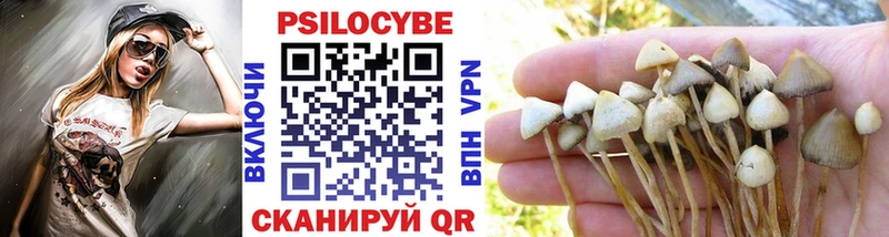 купить  цена  Володарск  Псилоцибиновые грибы прущие грибы 